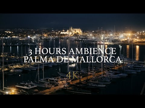 Blick über den Hafen von Palma und die Kathedrale