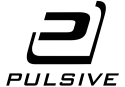 music video for record company Pulsive Media Inc.